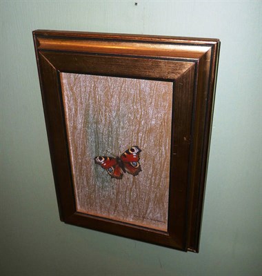 Lot 610 - Oil painting by Michael Oxenham, study of a Peacock Butterfly