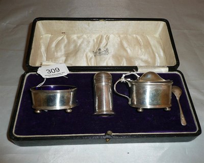 Lot 309 - Silver cruet, Birmingham in fitted box