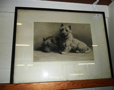 Lot 467 - Herbert Dicksee, 1929, signed artists proof 'two Cairn Terriers'