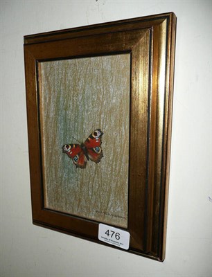 Lot 476 - Oil painting by Michael Oxenham, study of a Peacock Butterfly