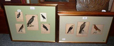 Lot 468 - Watercolours in two frames of birds by Heinrich Reichenback