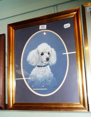 Lot 482 - Rex Flood - portrait study of a poodle, complete with pedigree certificate verso