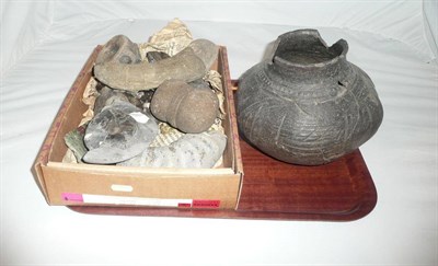 Lot 3 - Quantity of assorted fossils, Roman lamp and an early black glazed vessel