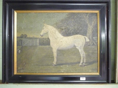 Lot 389 - Oil on canvas, portrait of a horse, signed C B Wright