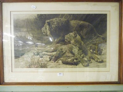 Lot 390 - Herbert Dicksee, a framed print of lions, signed in pencil