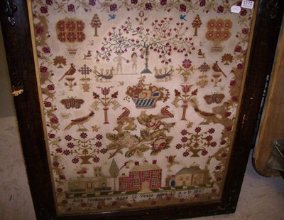 Lot 1171 - Framed sampler by Ann Jenkinson Aged 12, dated 1857