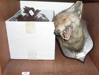 Lot 157 - A cuckoo clock and a taxidermy specimen of a foxes head by P Spicer & Sons