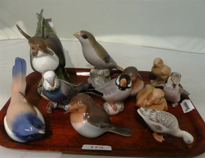 Lot 173 - A tray of B & G birds (11)