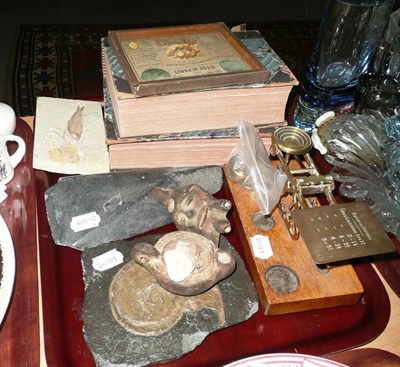 Lot 366 - Miscellaneous items including scales, books, fossils, arrow heads and Roman lamps