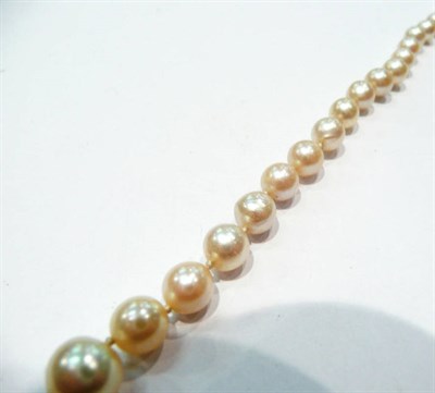 Lot 439 - A strand of graduated pearls