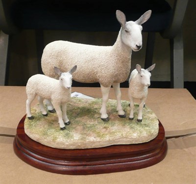 Lot 494 - Border Fine Arts 'Blue Faced Leicester Ewe and Lambs' with box and certificate