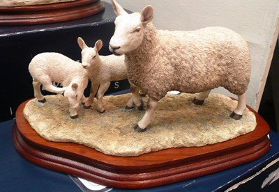 Lot 495 - Border Fine Arts 'North Country Cheviot Ewe with Scotch half breed lambs' with box and certificate