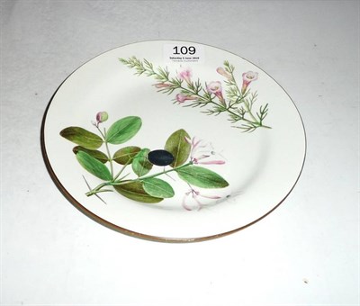 Lot 109 - Wedgwood creamware Botanical plate