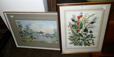 Lot 546 - Botanical watercolour and another