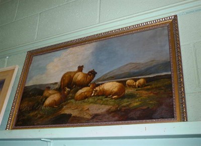 Lot 422 - Oil, Alfred Morris, sheep resting