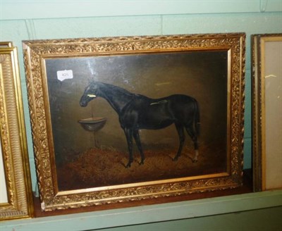 Lot 425 - G M Hill, gilt framed oil on board, study of a horse, signed and dated 1924