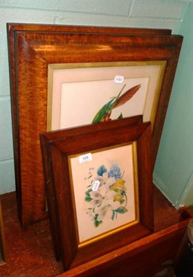 Lot 429 - Pair of rosewood framed watercolours of flowers together with a pair of framed bird prints