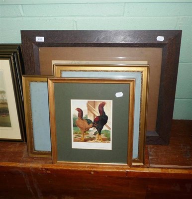 Lot 432 - Two watercolours - partridges/snow eagle and Archibald Thorburn engraving of snipe and four...