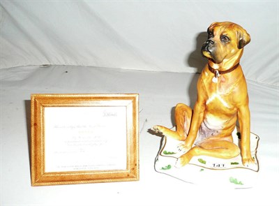 Lot 141 - Royal Worcester boxer dog and certificate