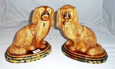 Lot 198 - Pair of Staffordshire treacle-glazed spaniel dogs on moulded bases