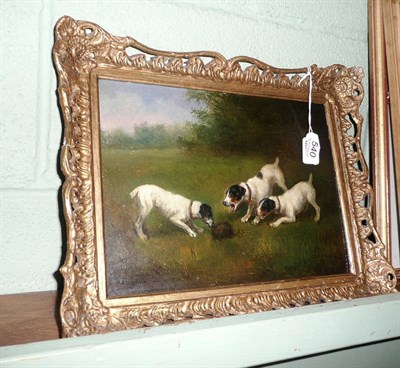 Lot 540 - 19th century oil attributed to Wheeler, three terriers and a hedgehog