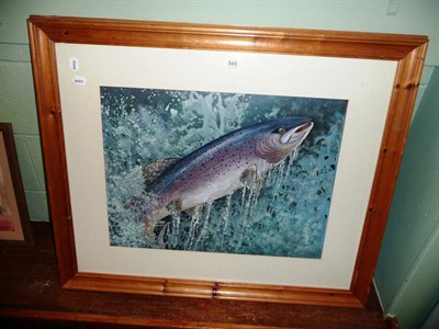 Lot 545 - L Parkin, watercolour and bodycolour, rainbow trout