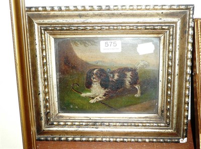 Lot 575 - English School 19th century - study of a spaniel, oil on canvas