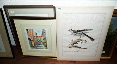 Lot 601 - Watercolour of a sparrow hawk, watercolour of a Mediterranean street scene,  two watercolours...