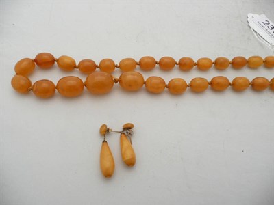 Lot 237 - A strand of amber and a pair of earrings