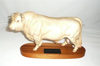 Lot 158 - Beswick Charolais bull on plinth