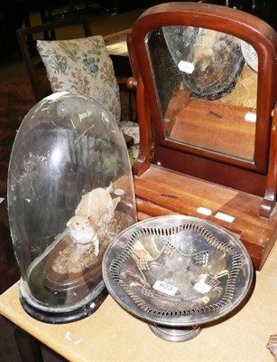 Lot 623 - Mahogany swing toilet mirror, squirrel under glass dome, plated tazza (3)