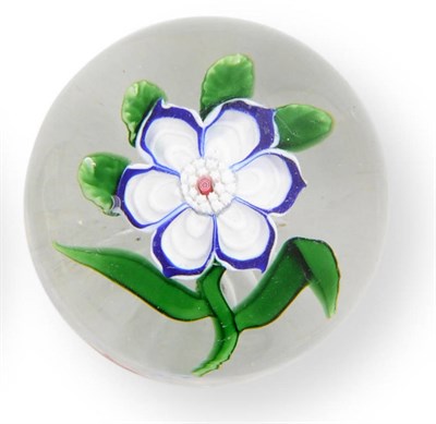Lot 11 - A Baccarat White Rose Paperweight, circa 1850, the six-petalled flower with blue borders, four...