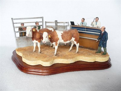 Lot 1002 - Border Fine Arts Simmental Cross 'Under the Hammer', model No. BO666D by Kirsty Armstrong, Ltd....