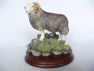 Lot 1013 - Border Fine Arts 'Herdwick Tup', model No. BO705 by Ray Ayres, Ltd. edition No. 572/750, 17.8cm...