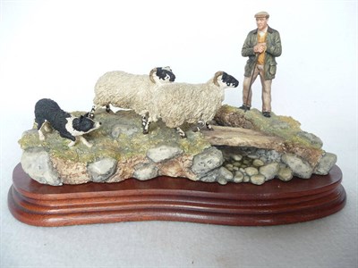 Lot 1021 - Border Fine Arts shepherd, collie and sheep 'Steady Lad Steady', model no. JH90 by Ray Ayres,...