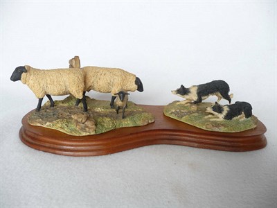 Lot 1022 - Border Fine Arts 'Suffolk Ewes and Collies', model No. 101 by Ray Ayres, dated 1981, 10.8cm...