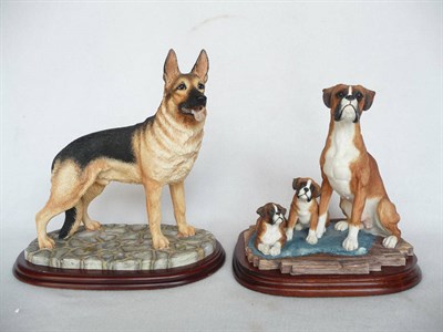 Lot 1043 - Border Fine Arts 'Boxer and Pups', model No. BO654 by Margaret Turner, tan and white dogs, Ltd....