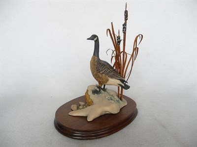 Lot 1052 - Border Fine Arts 'Canada Goose' (American Collection), model No. L47 by Frank Falco (signed F...