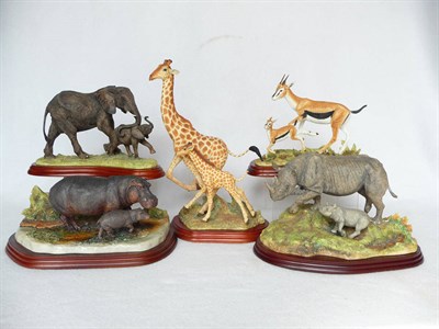 Lot 1057 - Five Border Fine Arts Wild Animals with Young 'Giraffe', model No. A5407; 'Rhinoceros', model...