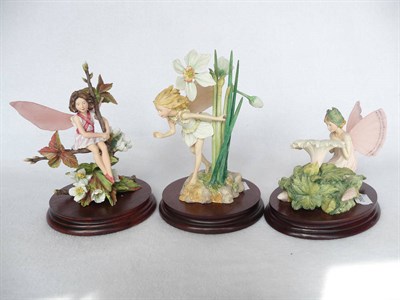 Lot 1059 - Three Border Fine Arts Flower Fairies, all style one models, 'Narcissus', No. CF24, Ltd. Ed....