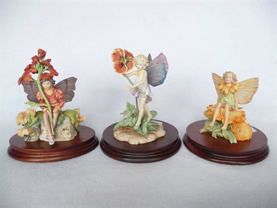 Lot 1063 - Three Border Fine Arts Flower Fairies all style one models, 'Wallflower', No. CF27, Ltd....