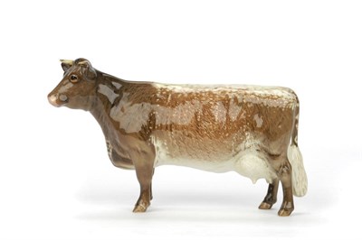 Lot 1092 - Beswick Dairy Shorthorn Cow Ch. 'Eaton Wild Eyes 91st', model No. 1510, brown and cream shaded,...