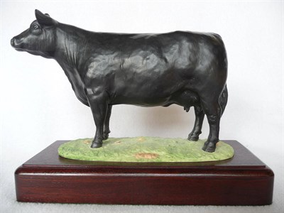 Lot 1099 - A Shebeg Pottery Aberdeen Angus Cow modelled by John Harper, Ltd. edition No. 129/150, black,...