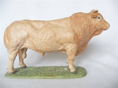 Lot 1107 - A Shebeg Pottery Blonde d'Aquitaine Bull, modelled by John Harper, cream/brown, matt glazed, 18.5cm