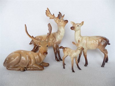 Lot 1109 - Beswick Stag lying, model No. 954, 14cm high; Stag standing, model no. 981, 20.3cm high (af);...