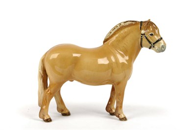 Lot 1153 - Beswick Norwegian Fjord Horse, model No. 2282, dun gloss, 16.5cm high