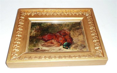Lot 118 - James Hardy Jnr - Still Life of a Cock Pheasant, on a mossy bank, signed and dated (18)60, oil...