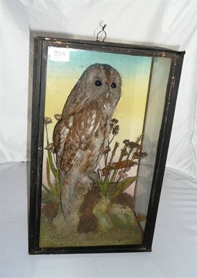 Lot 204 - A Tawny Owl, preserved and mounted perched on a branch in a naturalistic setting with painted...