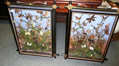 Lot 205 - A Pair of Victorian Wall Mounted Box Framed Butterfly and Beetle Displays, the ebonised and...