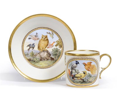 Lot 92 - A Marcolini Meissen Porcelain Ornithological Coffee Can and Saucer, circa 1790, the cylindrical can